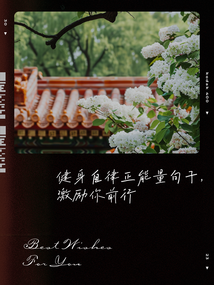 健身自律的励志话